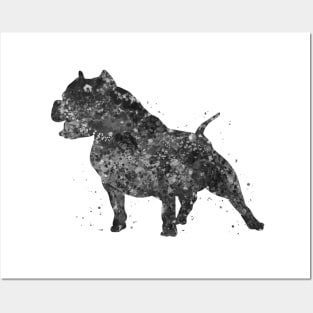 pitbull dog black and white Posters and Art